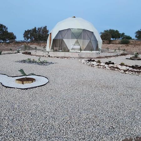 Tassourt Lodge 索维拉 外观 照片